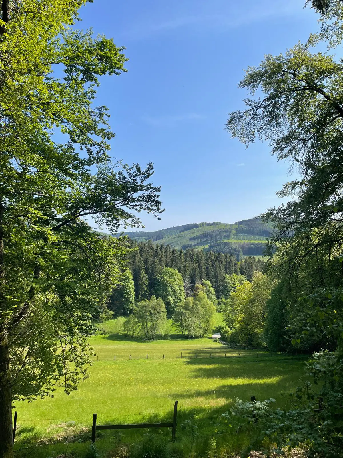 uitzicht op de groene vallei
